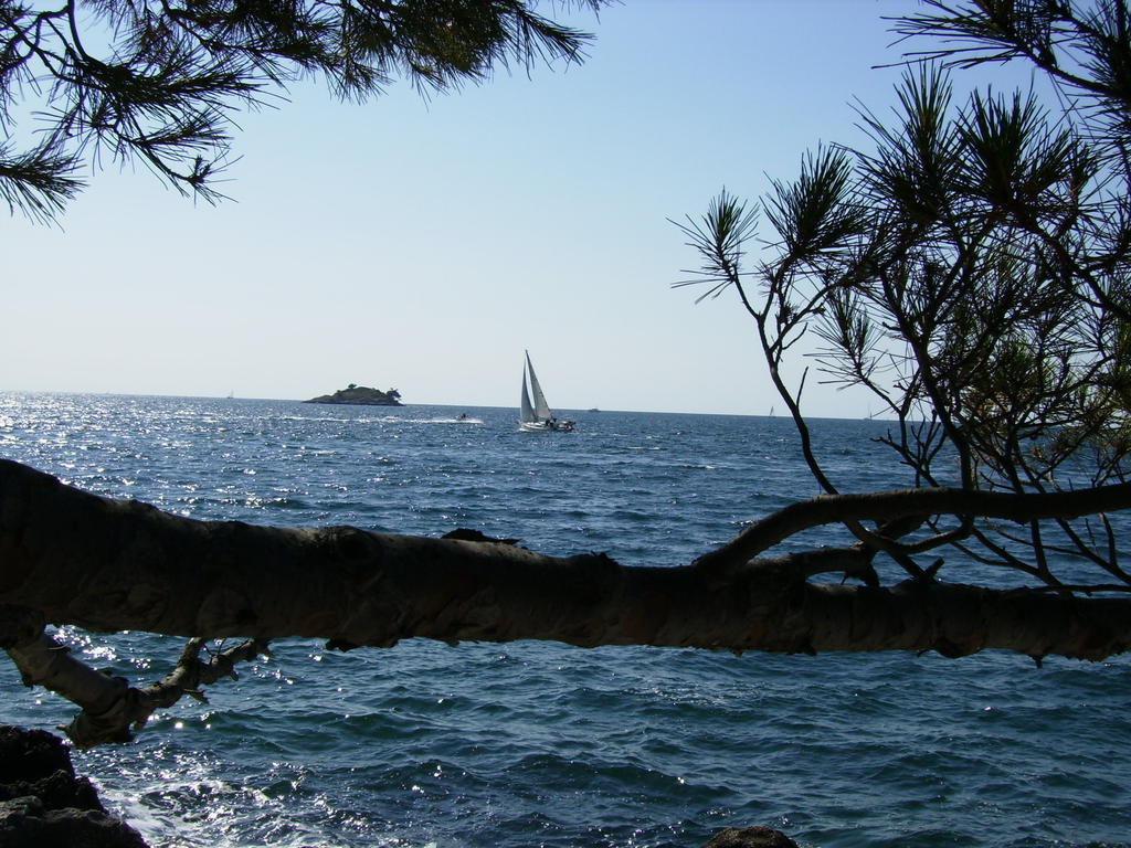 Apartments Carmelo Rovinj Exterior foto